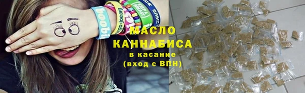 индика Осташков