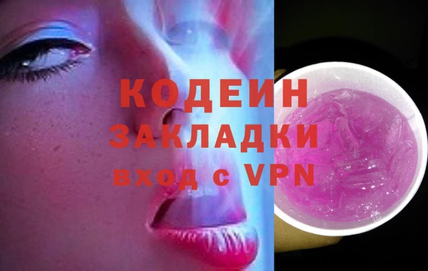 индика Осташков