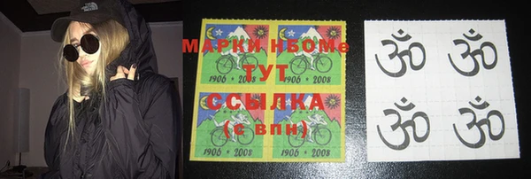 индика Осташков