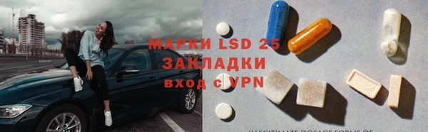 индика Осташков