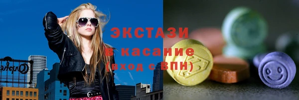 индика Осташков