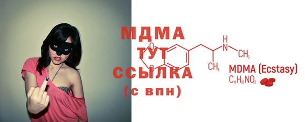 индика Осташков