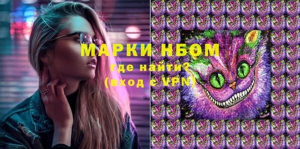 индика Осташков