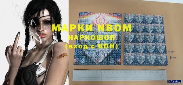 индика Осташков