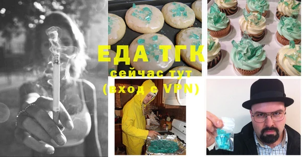индика Осташков