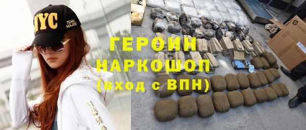 индика Осташков