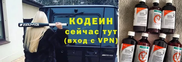 индика Осташков
