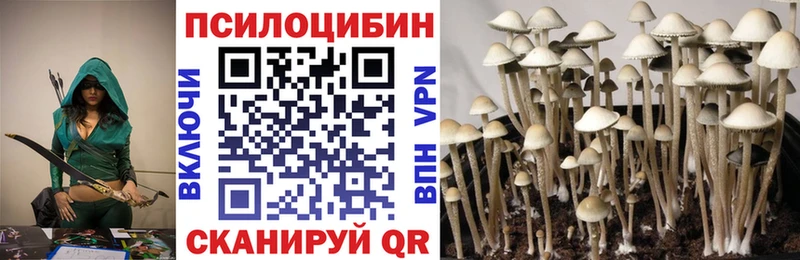 Псилоцибиновые грибы Psilocybe Порхов